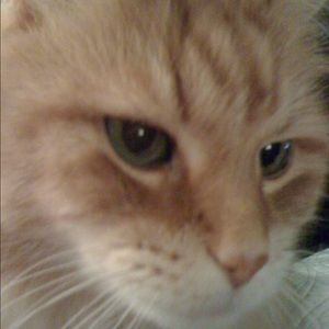 Meet your Posher, Leigh